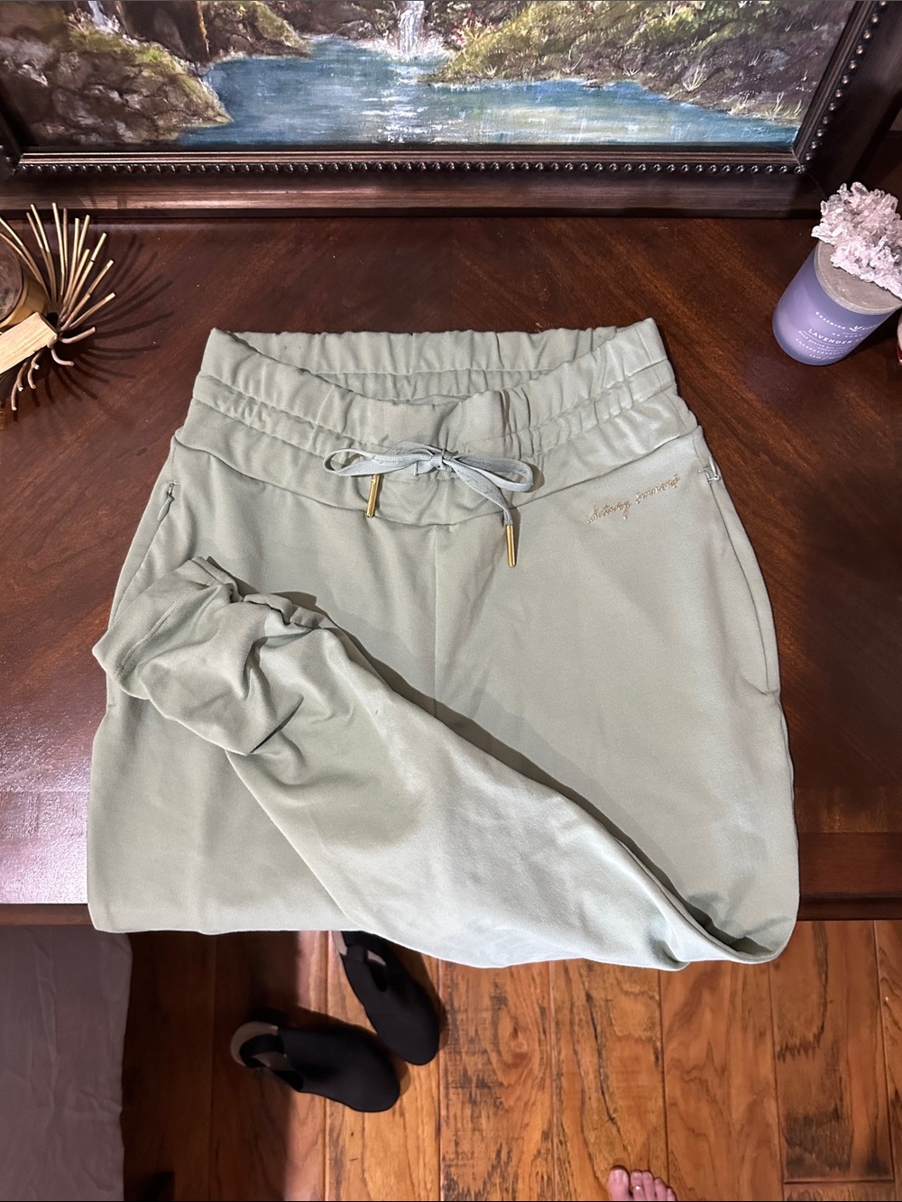 Gym shark Whitney Simmons jogger In Mint/sage green